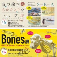 テーマ展「おもしろいぞ、ほね!Bones展&昔の絵本deさかなとりをマナブ展」