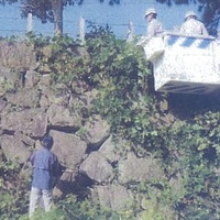 ボランティアによる佐賀城石垣の草刈が行われます