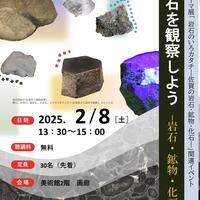 【2月8日（土）】博物館・美術館セミナー「石を観察しようー岩石・鉱物・化石ー」を開催します！