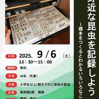 【9月6日(土)】博物館・美術館セミナー「身近な昆虫を記録しよう~標本をつくるとわかるいろいろなこと~」を開催します!