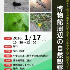 【1月17日（土）】博物館・美術館セミナー「博物館周辺の自然観察」を開催します！