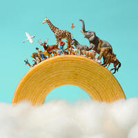 MINIATURE LIFE展2ー田中達也 見立ての世界ー